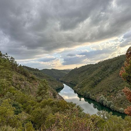Glamping Do Ze Otel Cernache do Bonjardim Dış mekan fotoğraf
