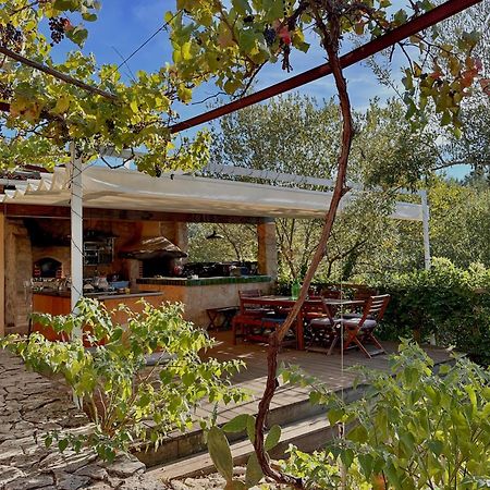 Glamping Do Ze Otel Cernache do Bonjardim Dış mekan fotoğraf
