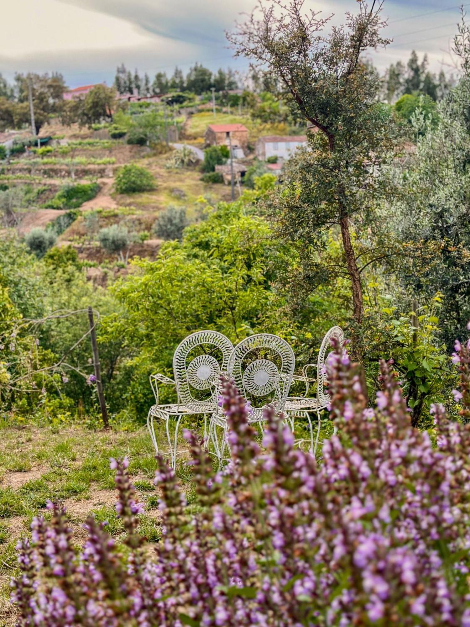Glamping Do Ze Otel Cernache do Bonjardim Dış mekan fotoğraf