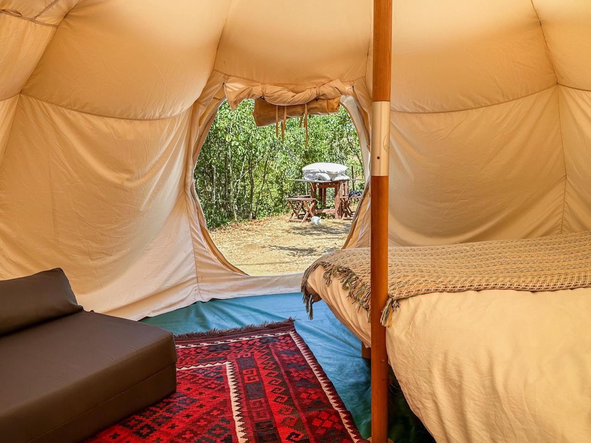 Glamping Do Ze Otel Cernache do Bonjardim Dış mekan fotoğraf